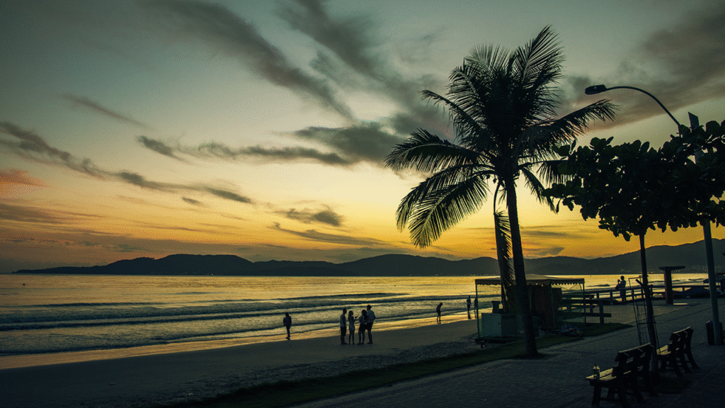 Nascer do sol na praia com silhueta de coqueiro em Itapema
